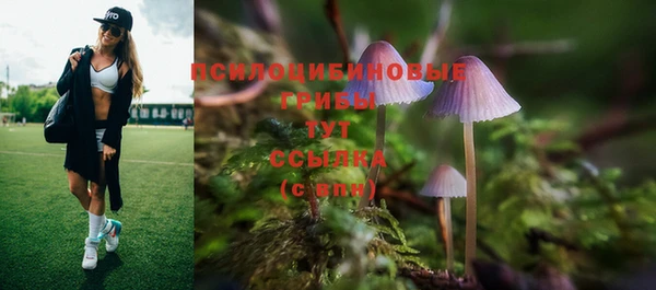 гидра Горнозаводск