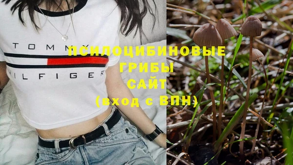 дмт Горно-Алтайск