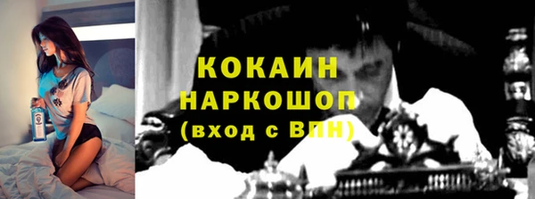 дмт Горно-Алтайск