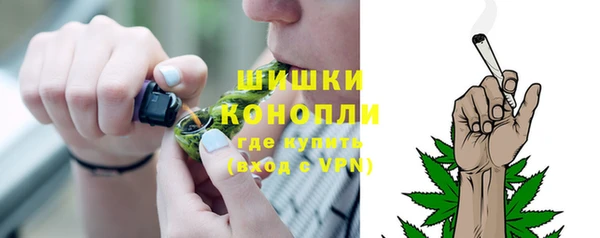 гидра Горнозаводск