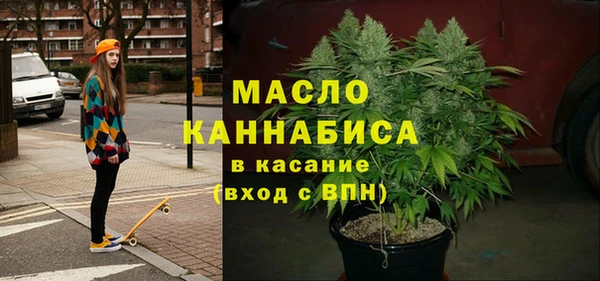 гидра Горнозаводск