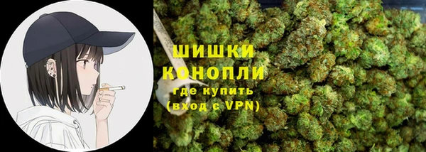 гидра Горнозаводск
