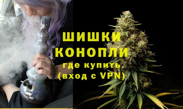 гидра Горнозаводск