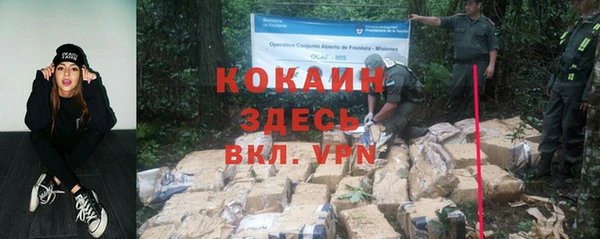 гидра Горнозаводск