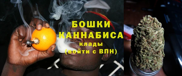 гидра Горнозаводск