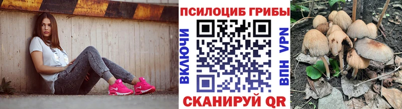 Галлюциногенные грибы ЛСД  мега рабочий сайт  Западная Двина 